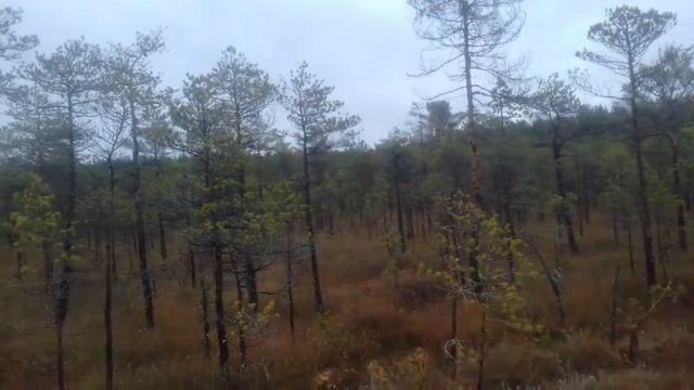 Испытания вездехода, первый выезд! смотреть онлайн
