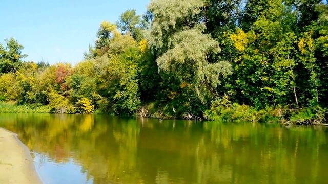 Ловись, рыбка!