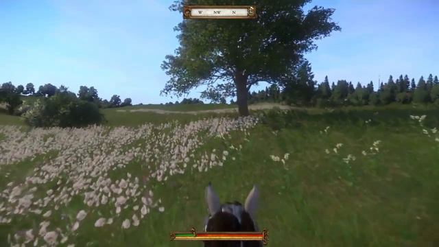 Kingdom Come: Deliverance - Ancient Treasure Map III [#3] Treasure Location смотреть онлайн