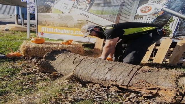 My dad's a hero.. Stihl Girl смотреть онлайн