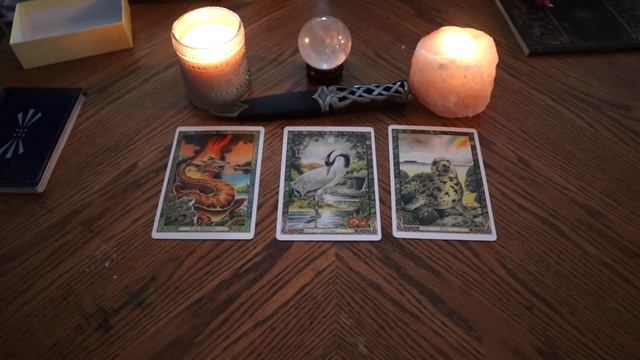 Druid Animal Spirit - Love Story Unfolding - Daily Reading July 12 2020 смотреть онлайн