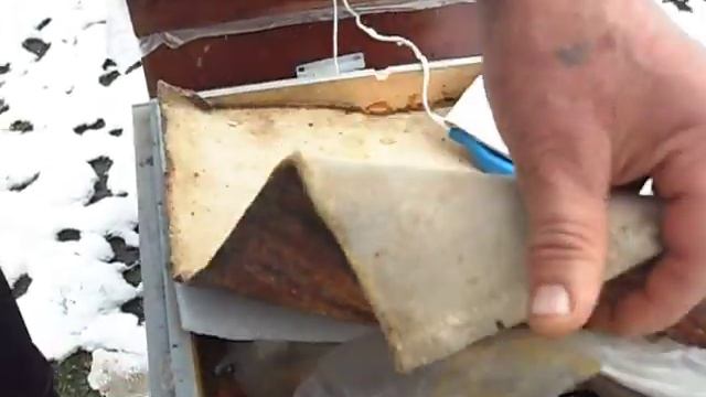 коровье молоко в качестве белка для пчёл. смотреть онлайн