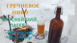 Варка домашнего пива. Гречишный Лагер. Играю на гитаре (cover) . Дегустируем пиво в шалаше  в лесу.