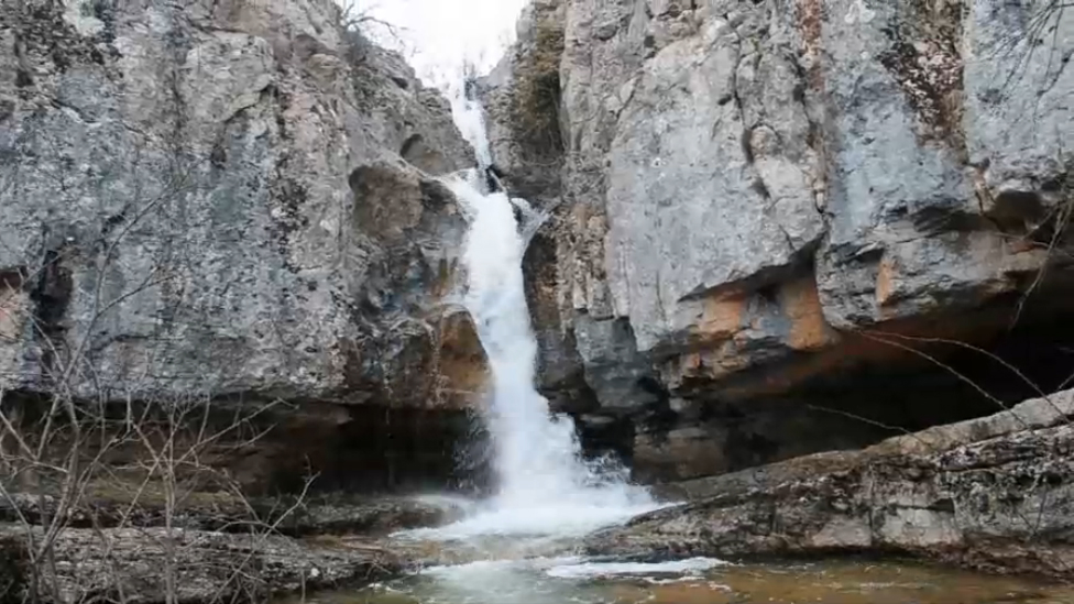 Терновая роса смотреть онлайн