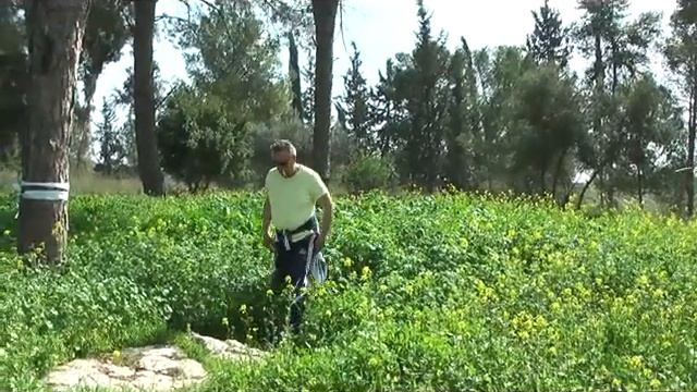 Израиль Февраль.Israel-Februar смотреть онлайн