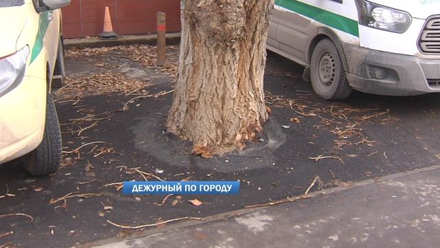 Дежурный по городу 15.11.2023