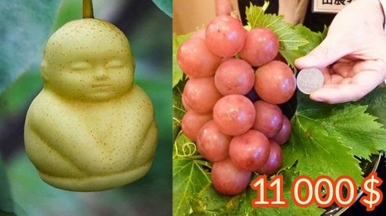 TOP10 Expensive Fruits