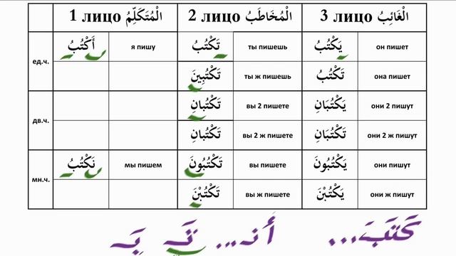 Урок 14. Склонение глагола настоящего времени, арабский через Коран смотреть онлайн
