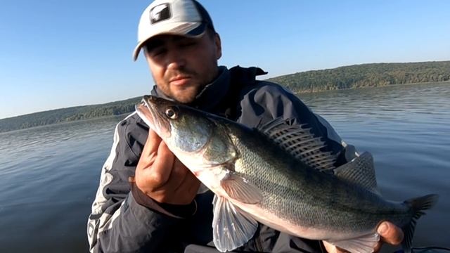 ЛОВЛЯ СУДАКА В КОРЯЖНИКЕ! ПОИСК РЫБЫ ЭХОЛОТОМ. РЫБАЛКА С ЛОДКИ НА СУДАКА. смотреть онлайн
