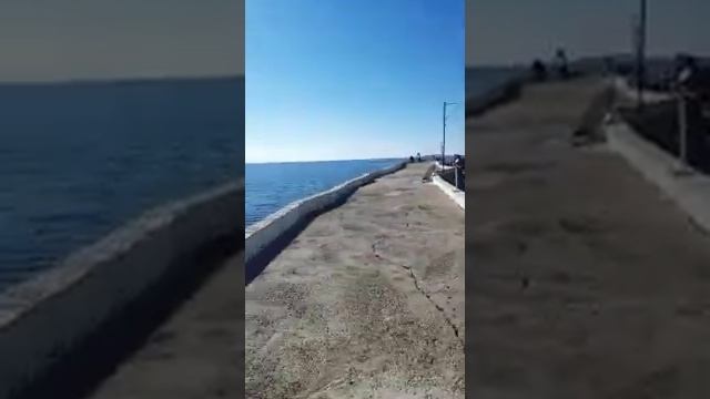 ?Жизнь на море Новомихайловский в декабре. Яхтклуб Торнадо?♂️?♀️