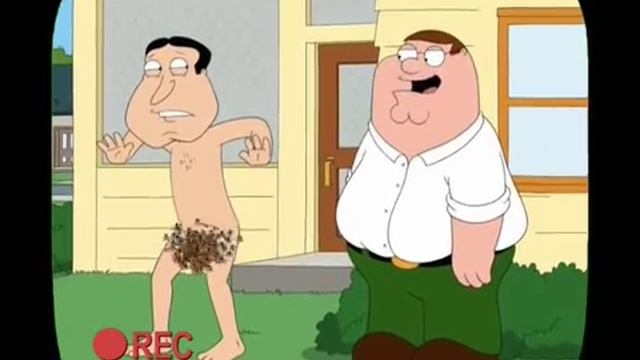 Гриффины. Чудаки смотреть онлайн