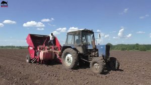 Сажаем картофель. Сеем кукурузу. Готовлю ДТ-75 к ремонту!