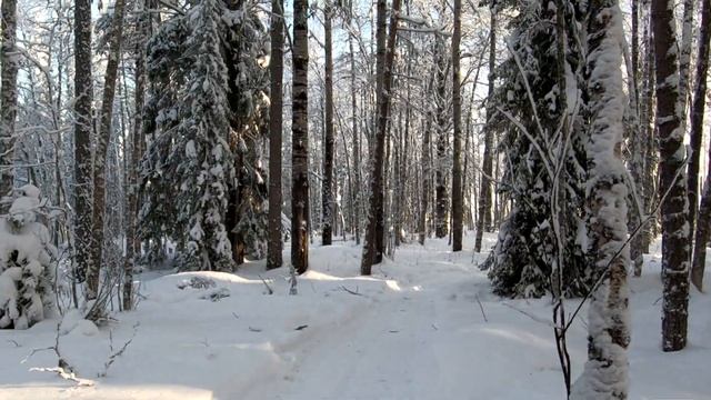 В ТАЁЖНОЙ ИЗБЕ НА ДАЛЬНЕМ КАРДОНЕ, МОРОЗ НЕ ПУСТИЛ НА РЫБАЛКУ. смотреть онлайн