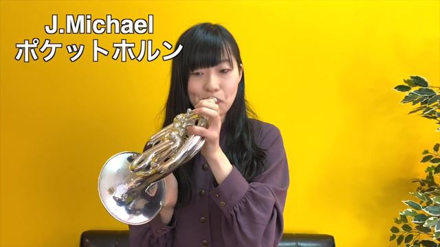 ポケットホルンでDANZEN！ふたりはプリキュア〜唯一無二の光たち〜吹いてみた！ смотреть онлайн