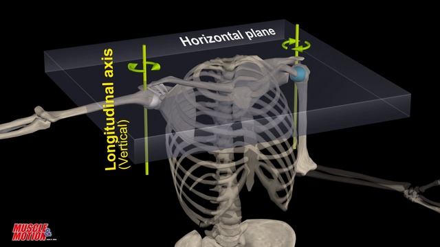 Understanding Axes of Movement/Rotation смотреть онлайн
