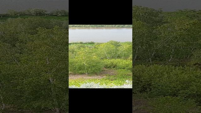 Берег Драверта