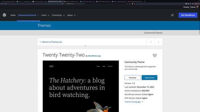 Block Themes, Classic Themes, Hybrid Themes, Universal Themes. WHAT IS A WORDPRESS THEME?!?! смотреть онлайн