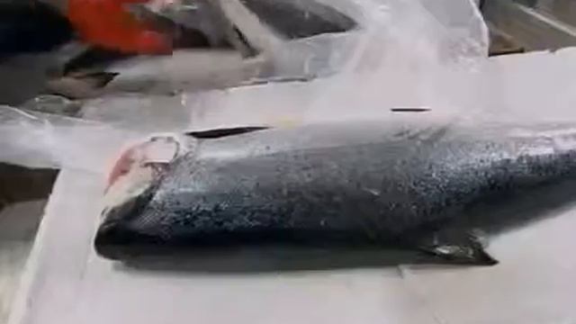 Как делают свежую рыбу для суши смотреть онлайн