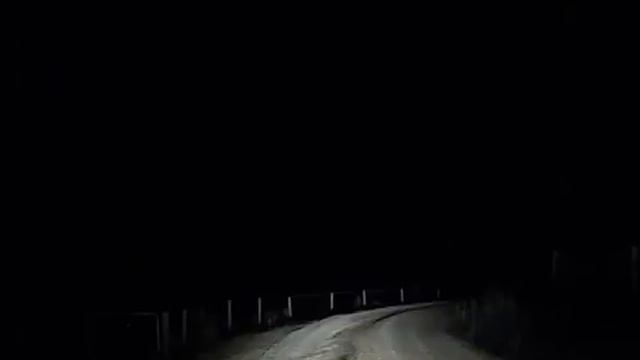 Кенгуру прыгнул на автомобиль смотреть онлайн