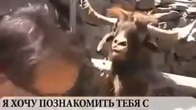 Смотреть только сетевикам! Как часто с Вами такое случается смотреть онлайн