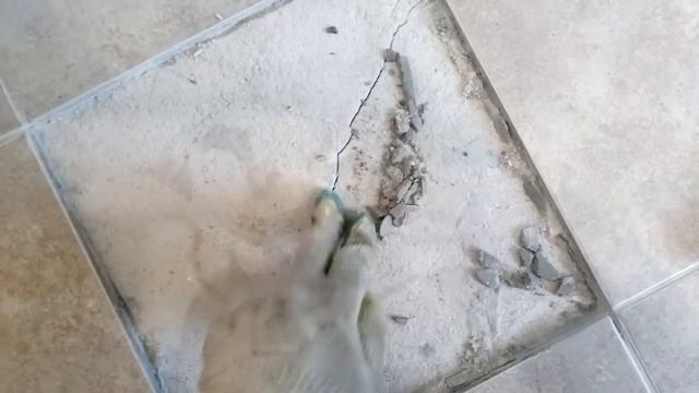 Замена плитки на кухне смотреть онлайн