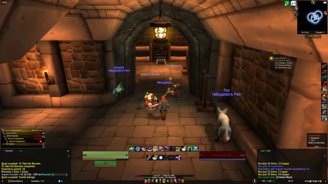 Scarlet Salvage WoW Quest completionist guide смотреть онлайн