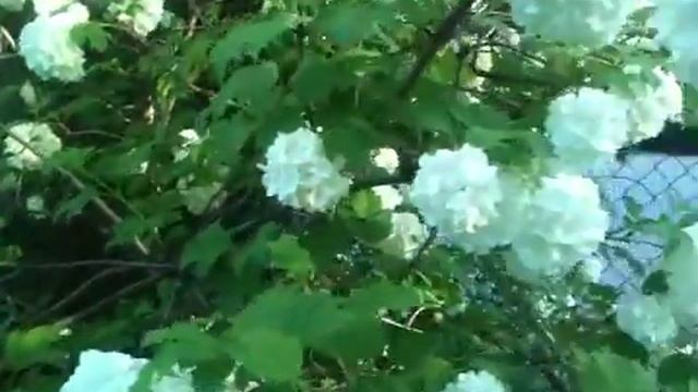 Бульденеж (Снежный шар) 2 смотреть онлайн