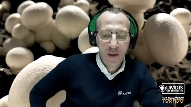 Секция вопросов консультанту Никодему Саксону на веб-конференции UMDIS 17.11.2020 смотреть онлайн