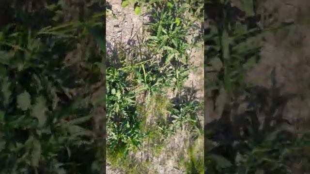 3 часть моего мучние смотреть онлайн