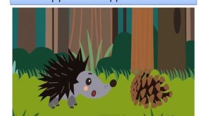 Дифференциация парных согласных «Ж-Ш»