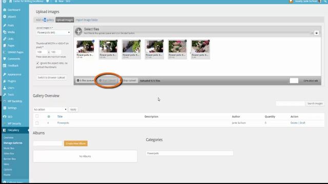 WordPress Flagallery - Photo Gallery Plugin смотреть онлайн