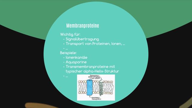 Membran смотреть онлайн