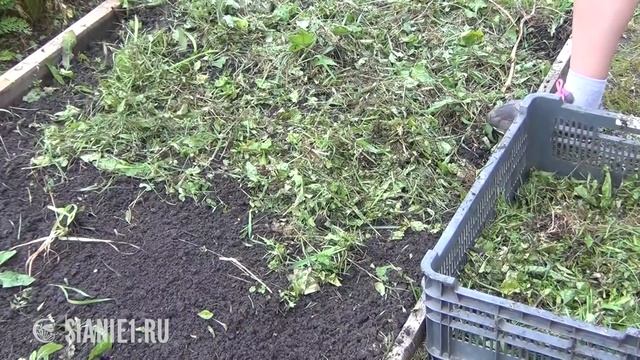 Чистим почву от болезней смотреть онлайн