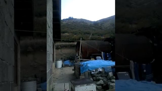 Тарки смотреть онлайн