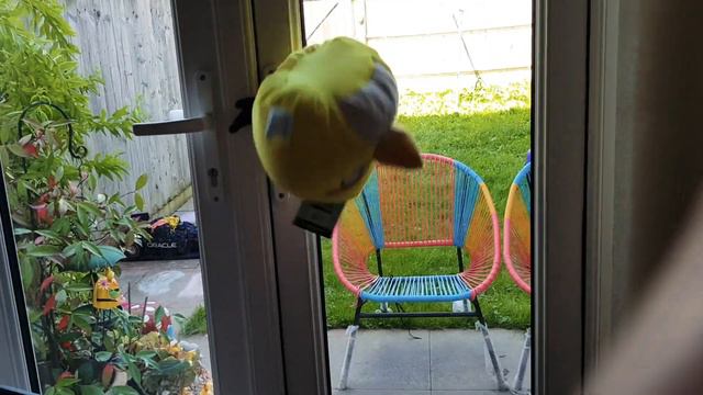 crazy angry bird part 3 смотреть онлайн