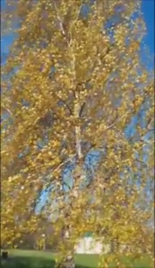 Тот самый день