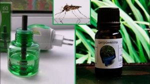 Как защититься от комаров  без использования химии. Защита от комаров народными средствами.