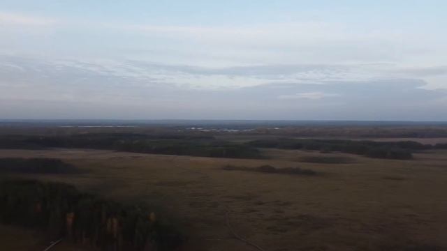 Экотропа в заказнике "Сестрорецкое болото" смотреть онлайн