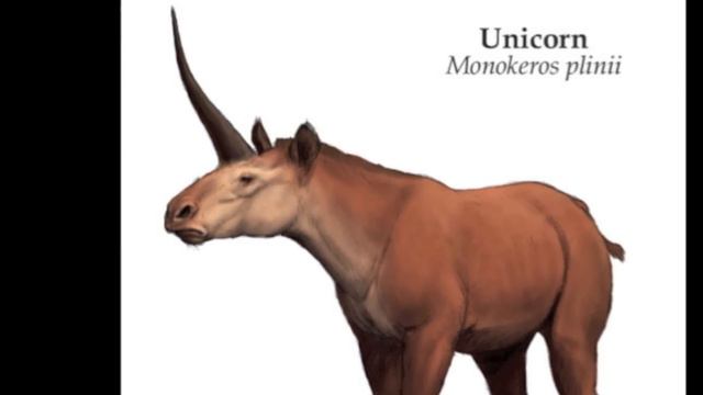 Are There Unicorns in the Bible? смотреть онлайн