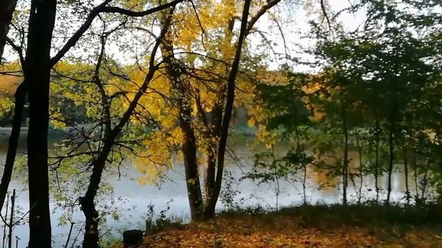 Ростов на Дону, шашлыки на природе с друзьями, рыбацкие байки от Василия смотреть онлайн
