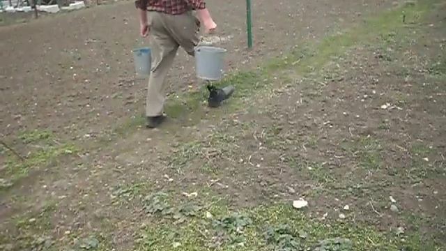Купальный протез бедра смотреть онлайн