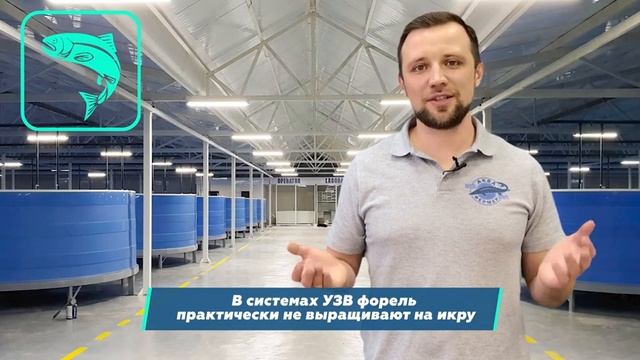 Топ 11 ФИШЕК при проектировании УЗВ для ФОРЕЛИ смотреть онлайн