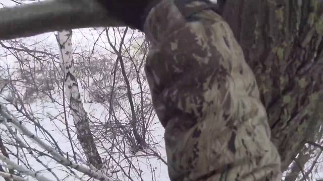 Привада и лабаз. Охота на лису на приваде. смотреть онлайн