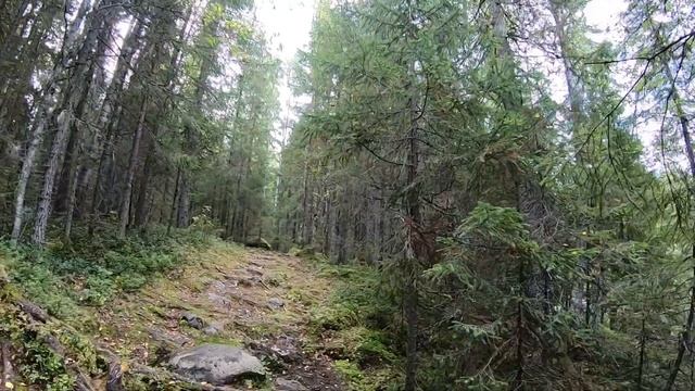 Часть#2 /Совершен прорыв. Кож озеро жди. смотреть онлайн