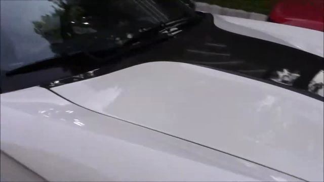 Ferrari 599 Mansory Stallone - Start-up, drive-by & accelerations. смотреть онлайн