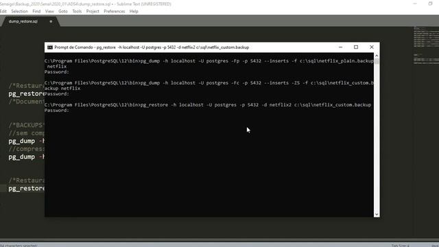 Restauração (banco de dados) Postgresql com PG_RESTORE смотреть онлайн