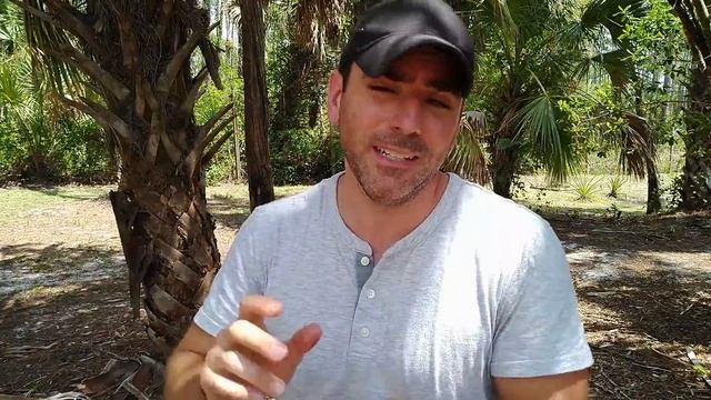 BASH Shell and Package Managers in Windows смотреть онлайн