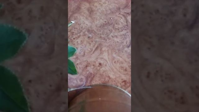 Как собрать букет цветов??? смотреть онлайн