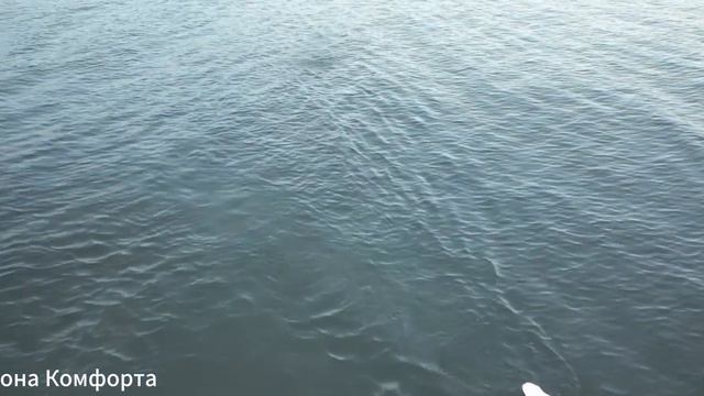 Музыка лечит бессонницу, полезна для сердца и успокаивает нервную систему! Музыка успокаивает душу