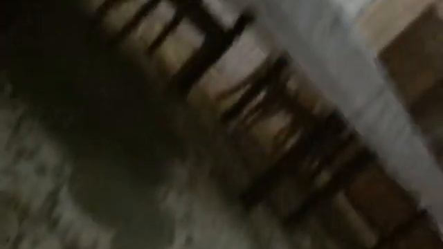 Обзор мяч адидас ???? смотреть онлайн